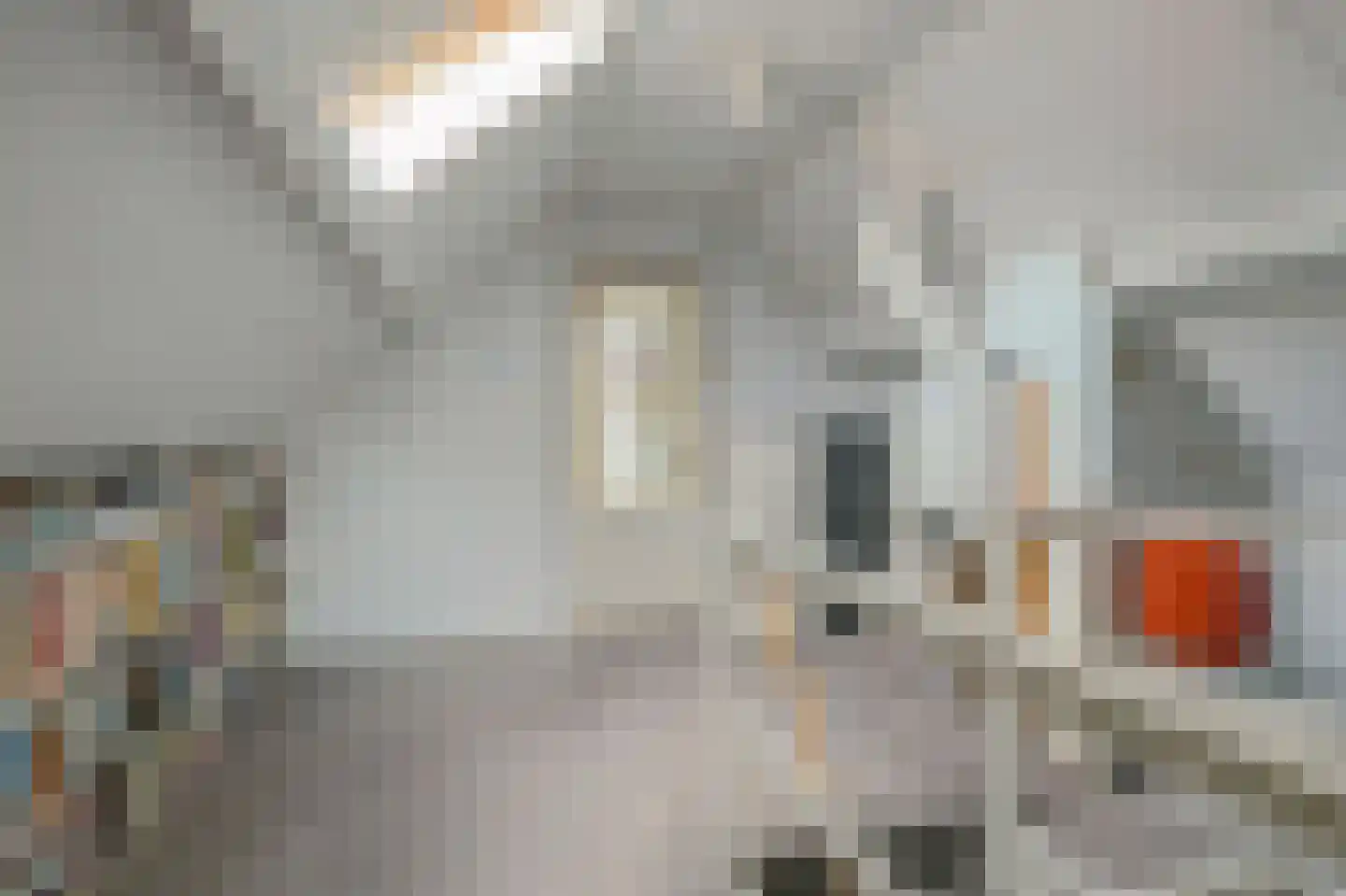 Rodedorp 31 Zierikzee thumbnail 17