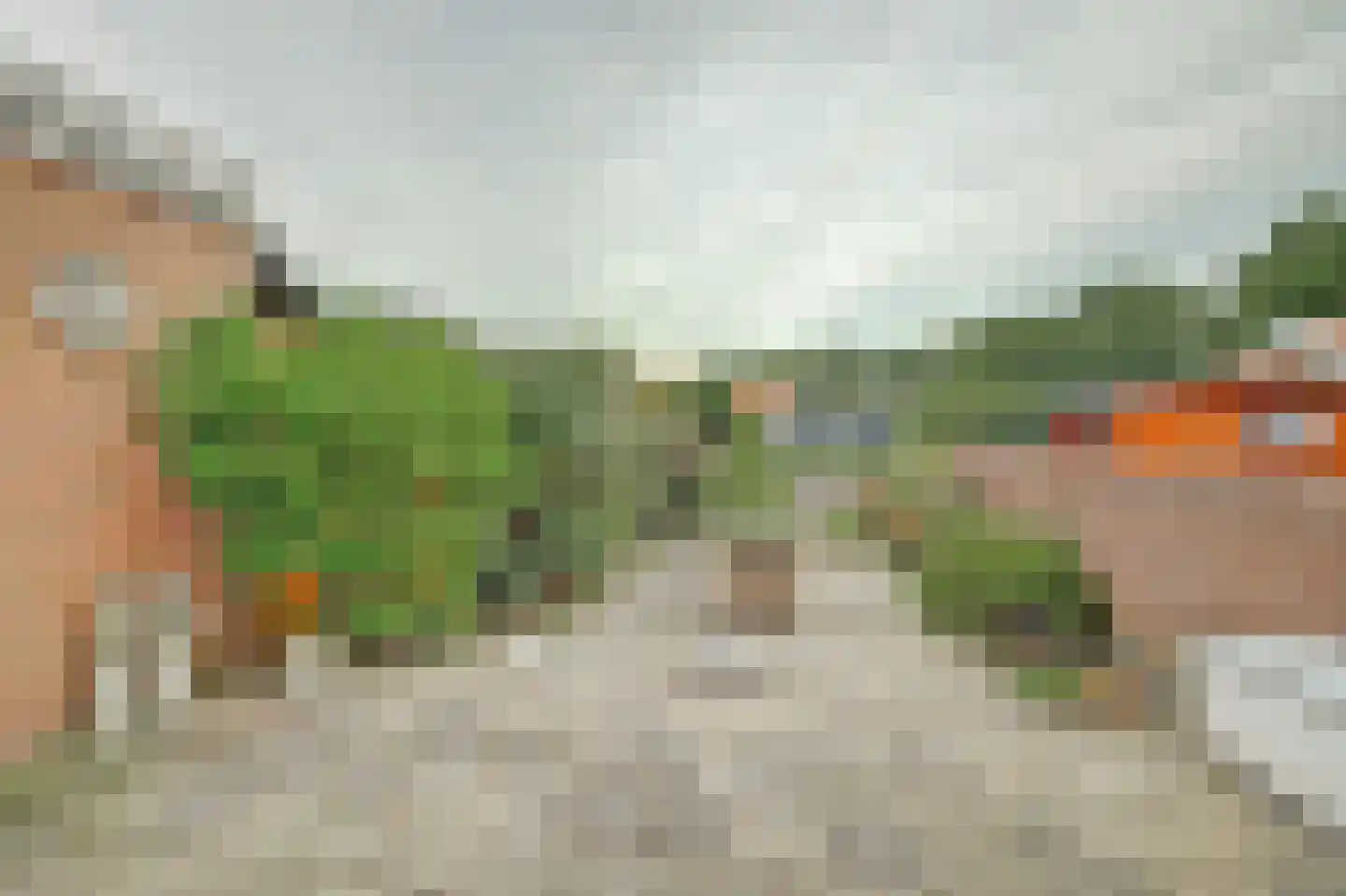 Rodedorp 31 Zierikzee thumbnail 21