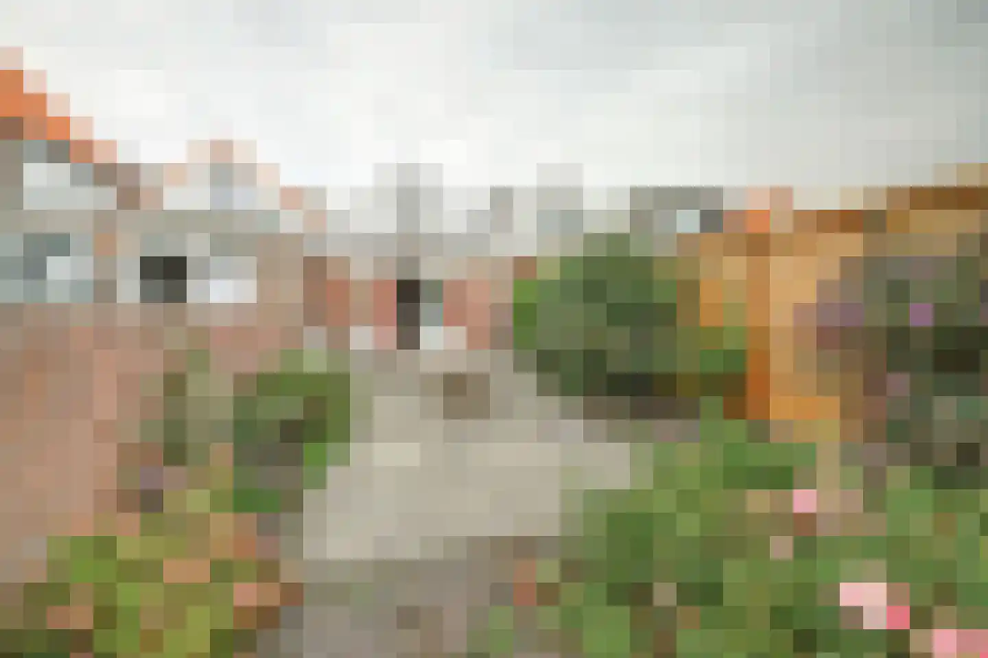 Rodedorp 31 Zierikzee thumbnail 25