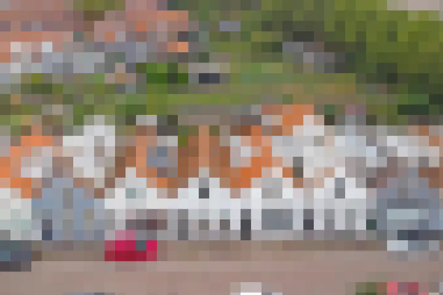 Rodedorp 31 Zierikzee thumbnail 27