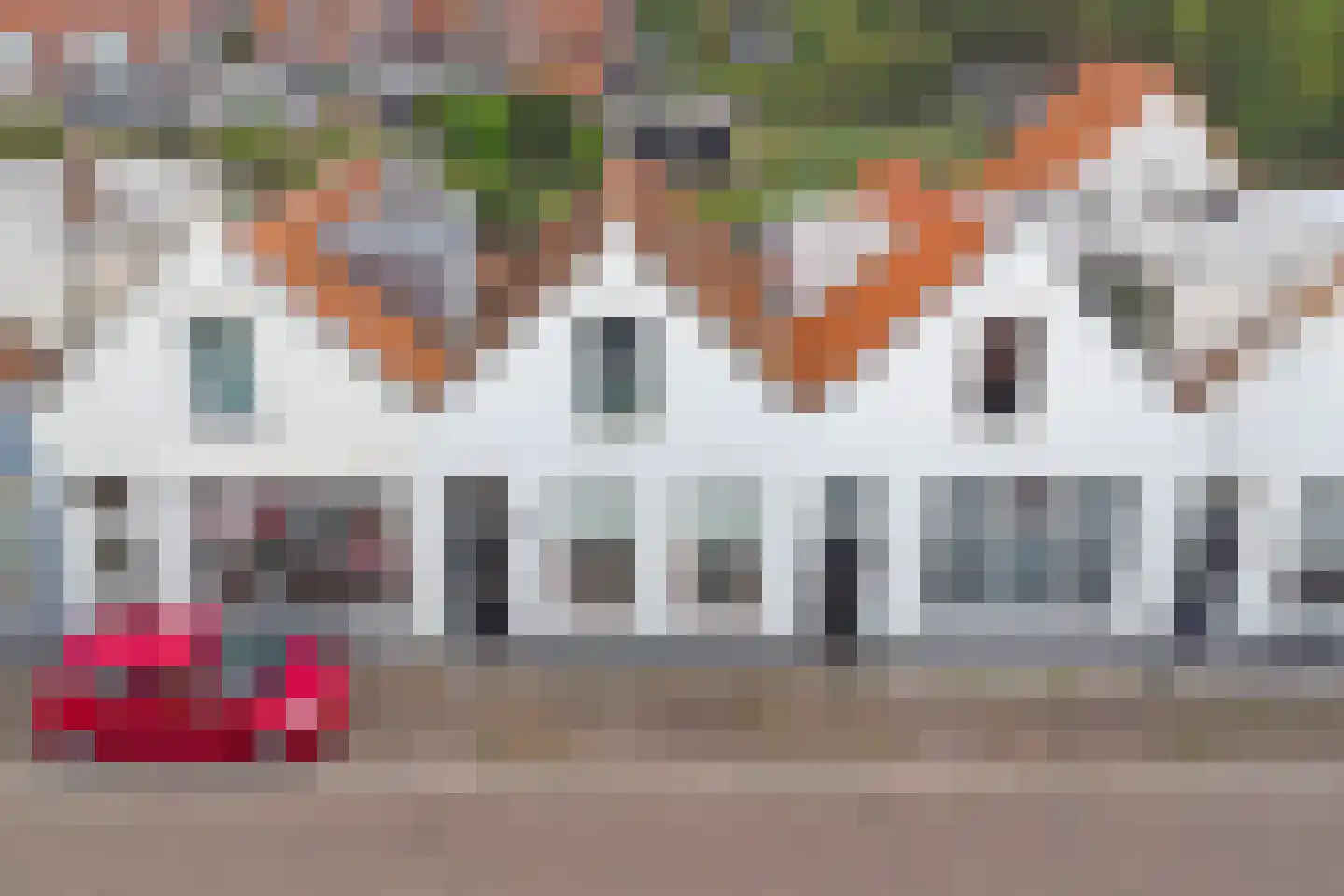 Rodedorp 31 Zierikzee thumbnail 32