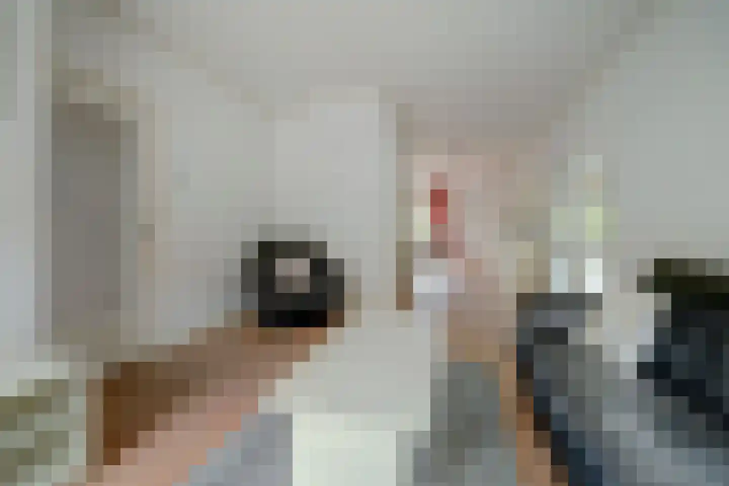 Rodedorp 31 Zierikzee thumbnail 7