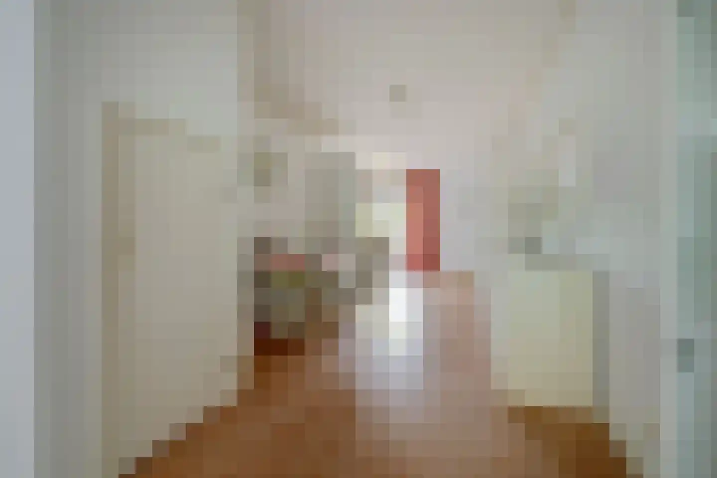 Rodedorp 31 Zierikzee thumbnail 8