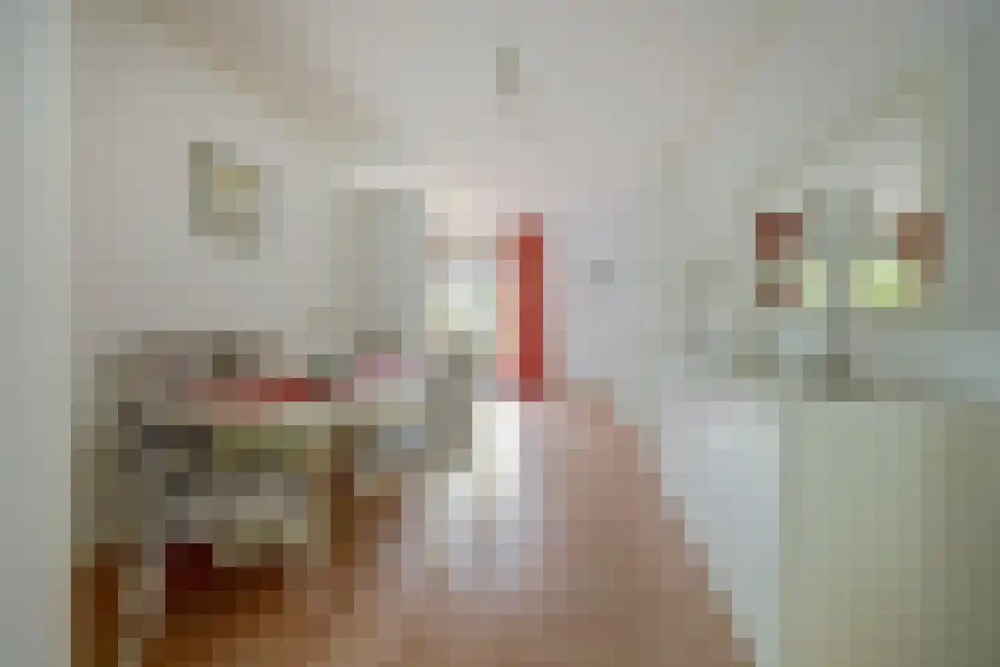 Rodedorp 31 Zierikzee thumbnail 9