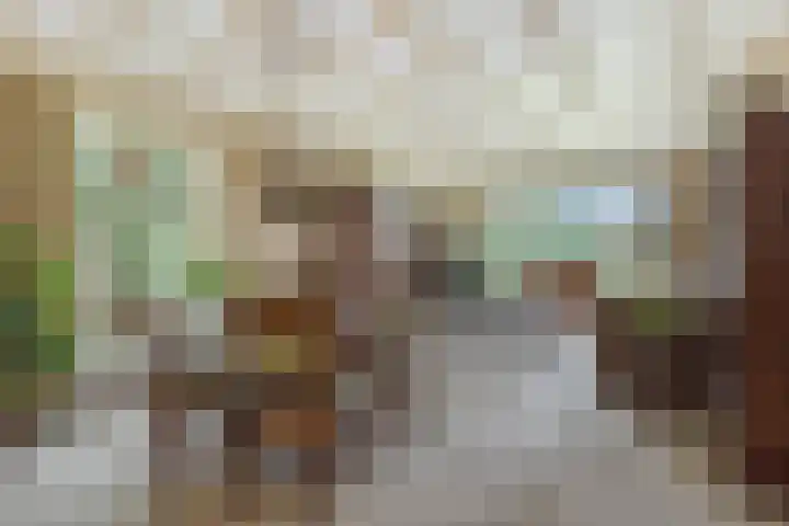 Rodegraafweg 11 Liessel thumbnail 10