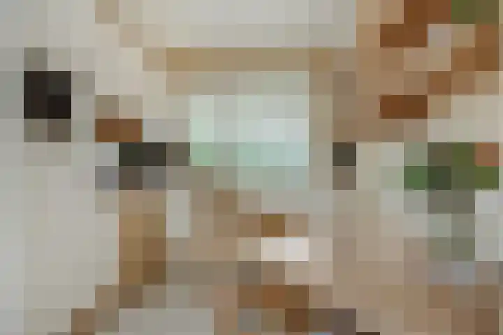 Rodegraafweg 11 Liessel thumbnail 13