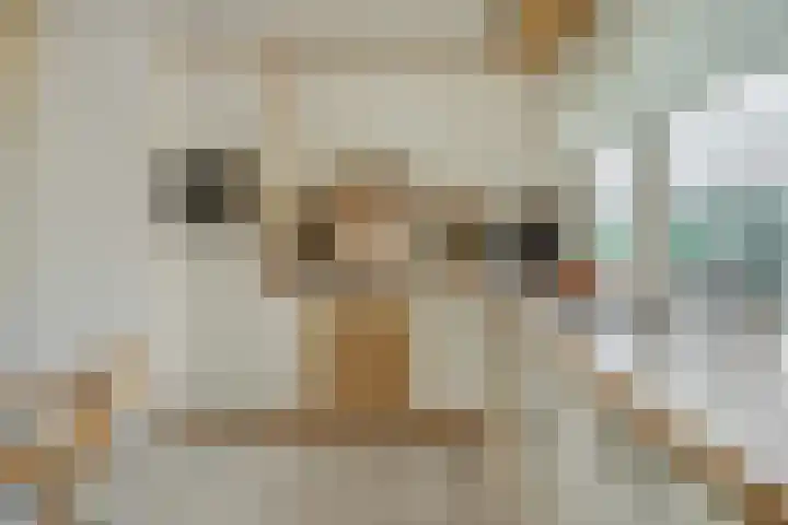 Rodegraafweg 11 Liessel thumbnail 14
