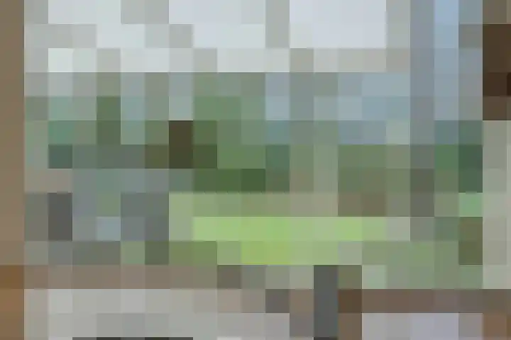 Rodegraafweg 11 Liessel thumbnail 16