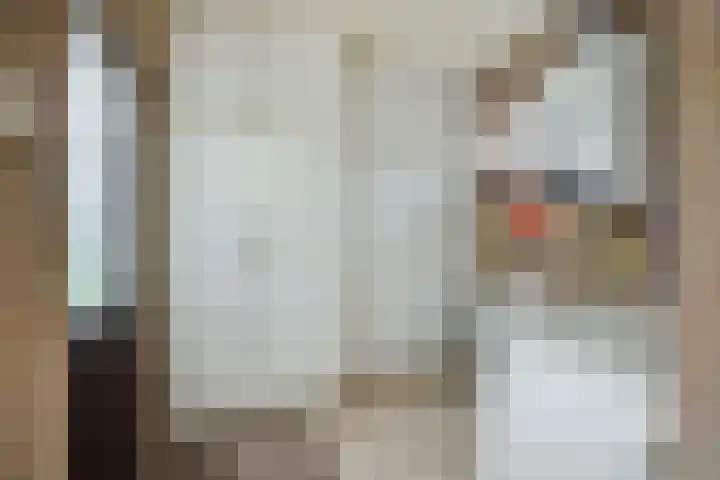 Rodegraafweg 11 Liessel thumbnail 17