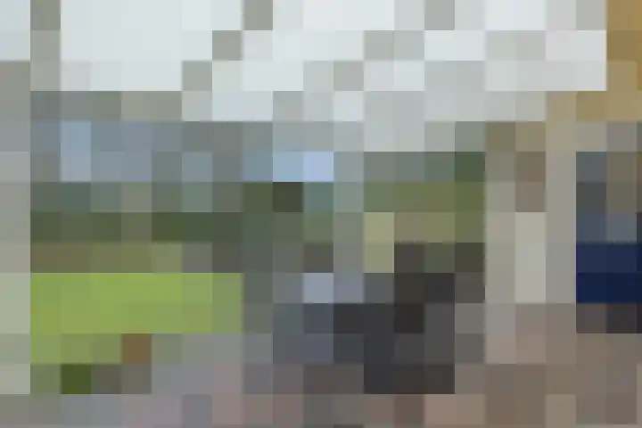 Rodegraafweg 11 Liessel thumbnail 28