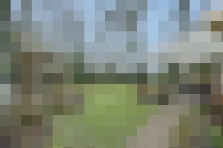 Rodegraafweg 11 Liessel thumbnail 30