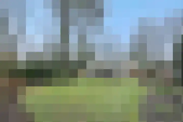 Rodegraafweg 11 Liessel thumbnail 31
