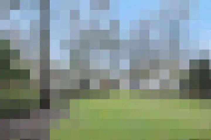 Rodegraafweg 11 Liessel thumbnail 32