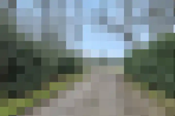 Rodegraafweg 11 Liessel thumbnail 39