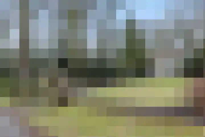 Rodegraafweg 11 Liessel thumbnail 40