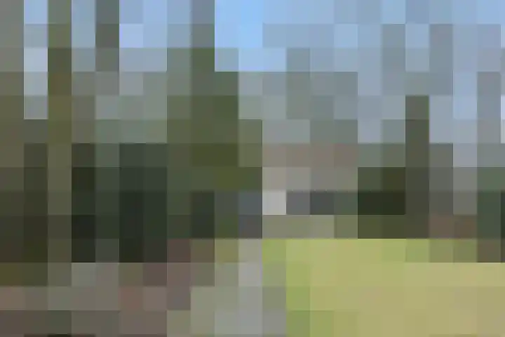 Rodegraafweg 11 Liessel thumbnail 41