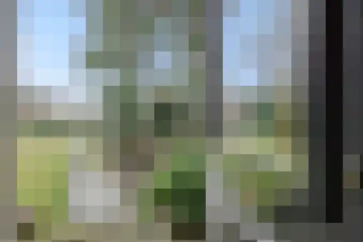 Rodegraafweg 11 Liessel thumbnail 42