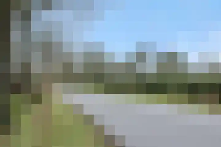 Rodegraafweg 11 Liessel thumbnail 43