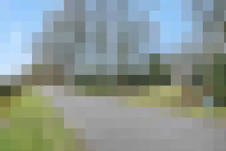 Rodegraafweg 11 Liessel thumbnail 44