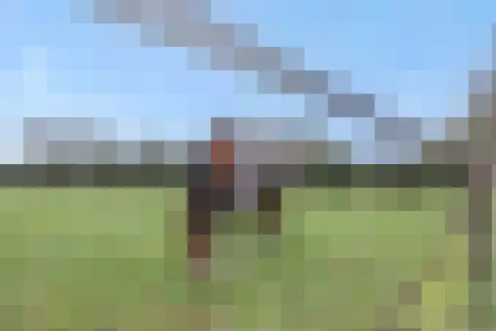 Rodegraafweg 11 Liessel thumbnail 45