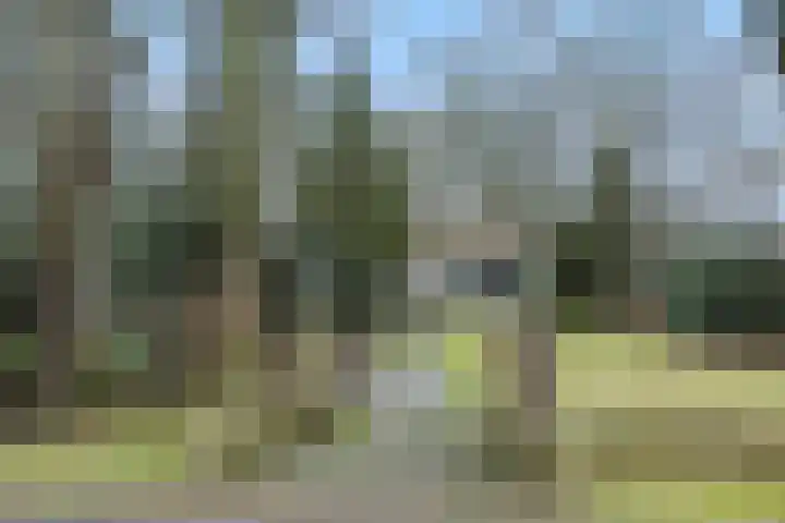 Rodegraafweg 11 Liessel thumbnail 6