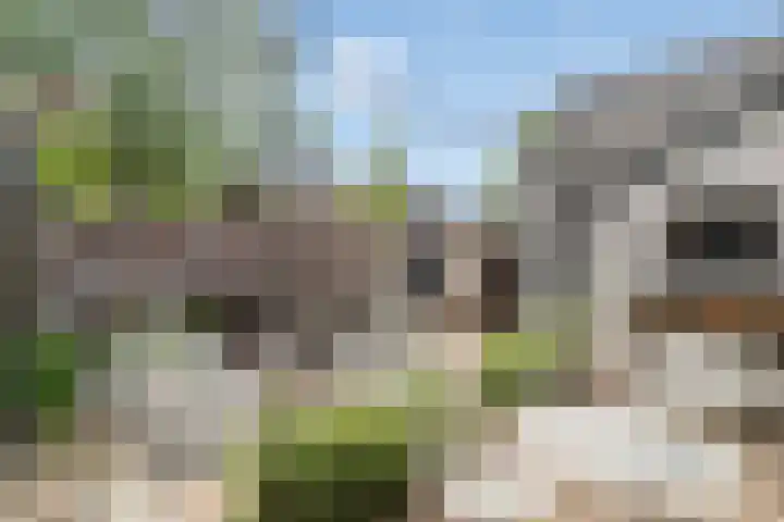 Rodeheldenstraat 20 Buren thumbnail 31