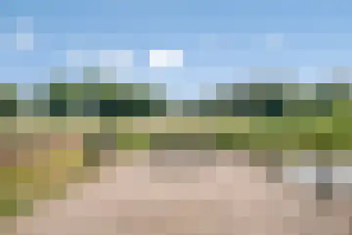 Rodeheldenstraat 20 Buren thumbnail 37