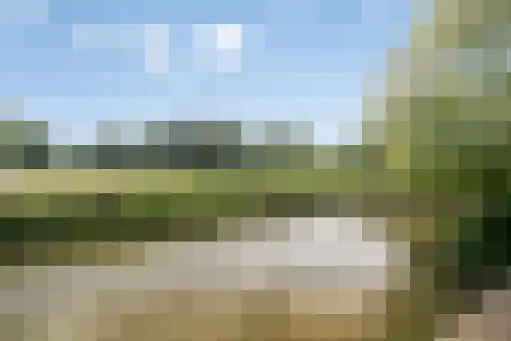 Rodeheldenstraat 20 Buren thumbnail 38