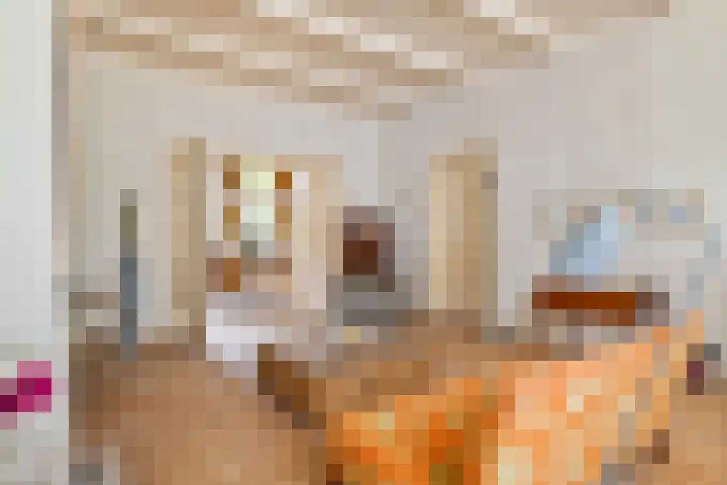Rodeheldenstraat 24 Buren thumbnail 11
