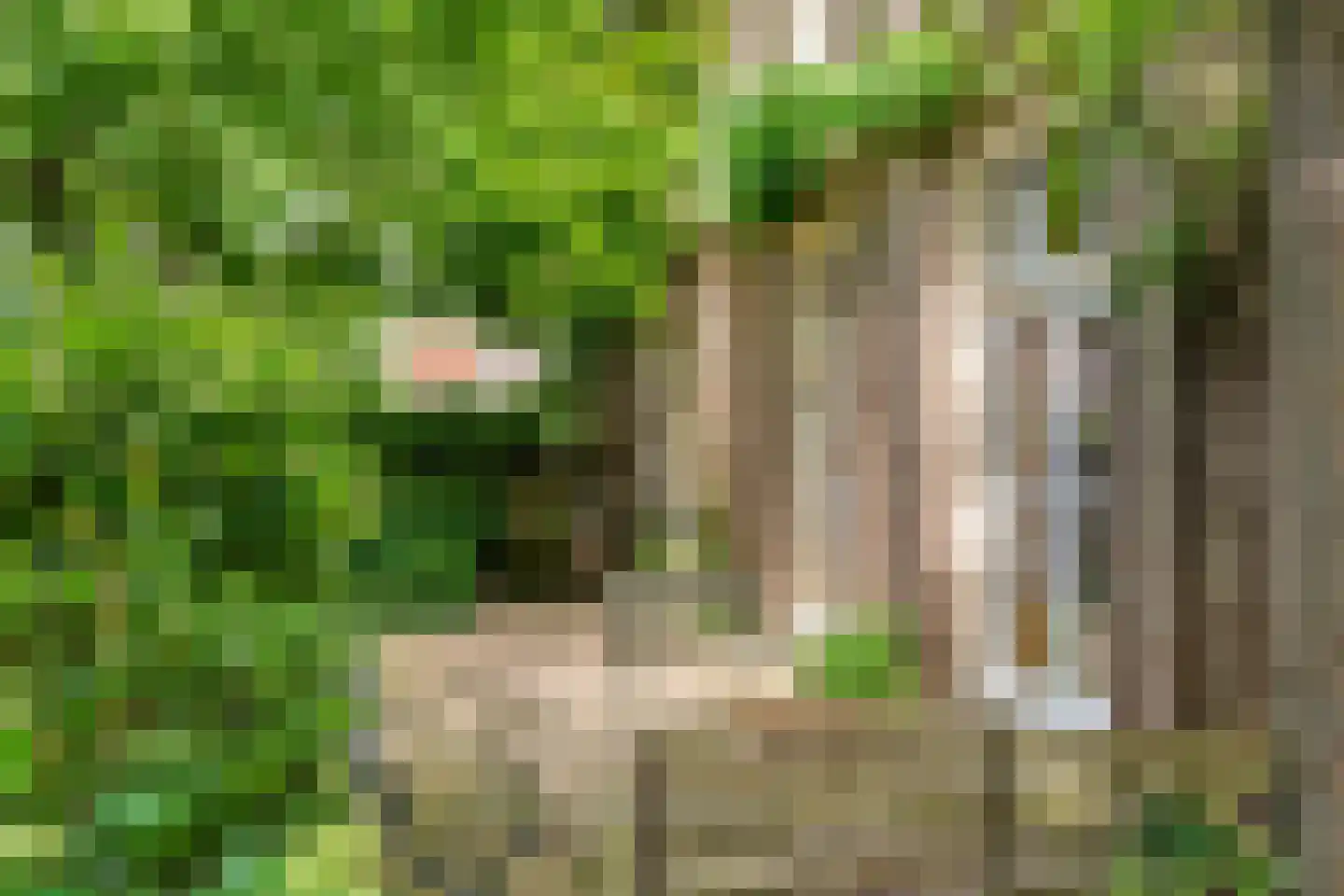Rodeheldenstraat 24 Buren thumbnail 23