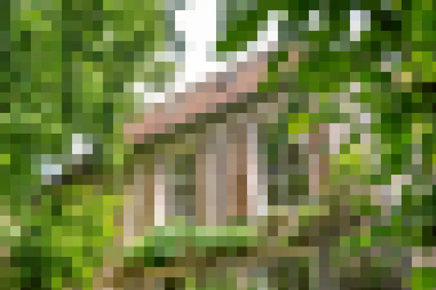 Rodeheldenstraat 24 Buren thumbnail 27
