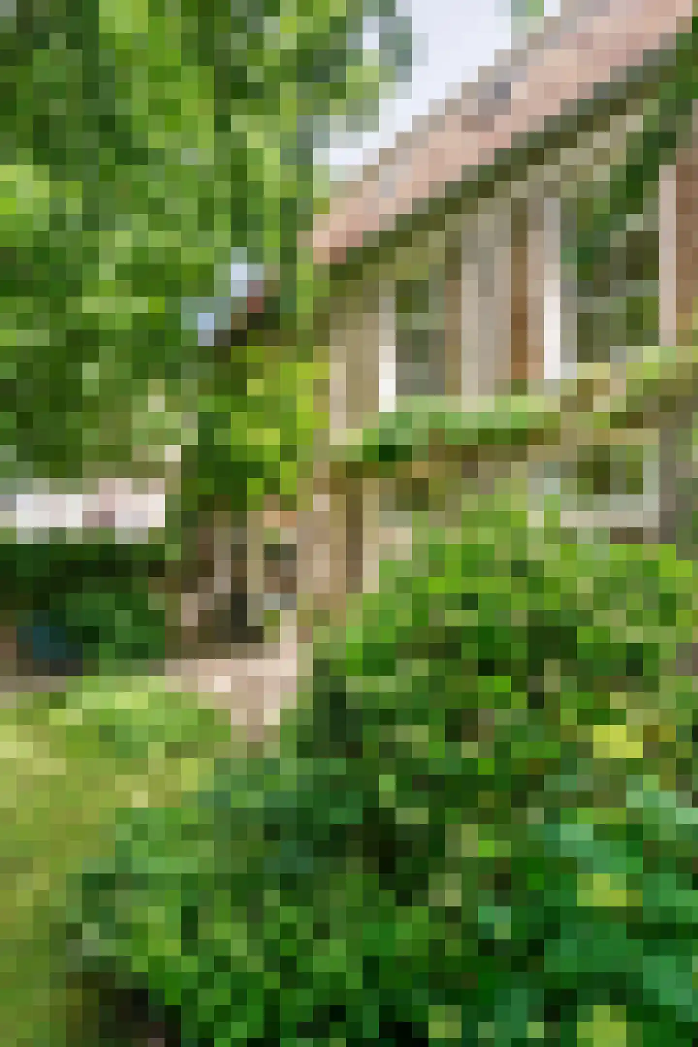 Rodeheldenstraat 24 Buren thumbnail 32