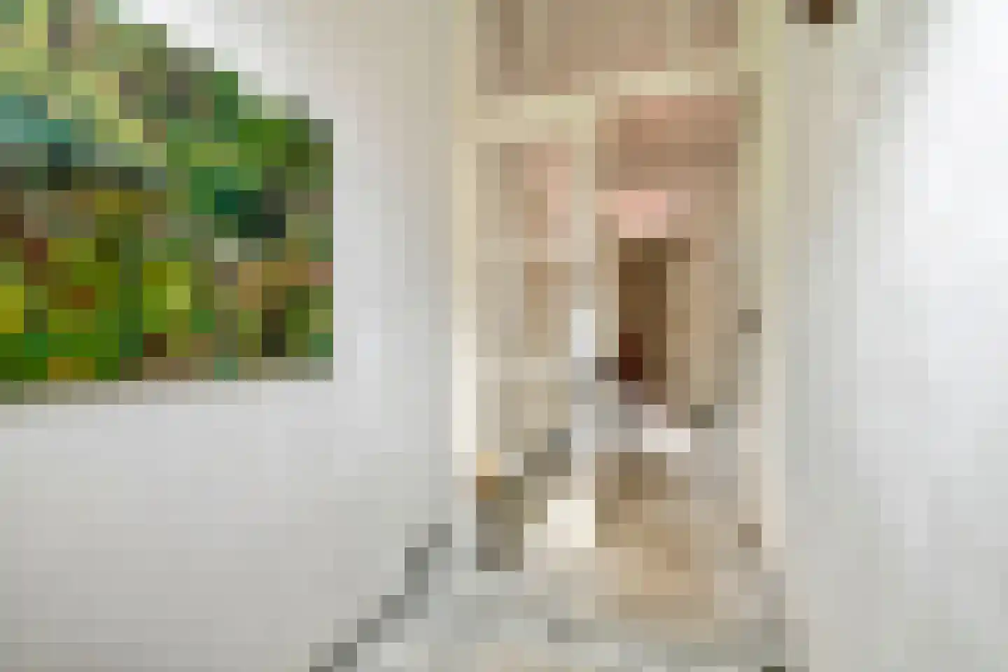 Rodeheldenstraat 24 Buren thumbnail 35