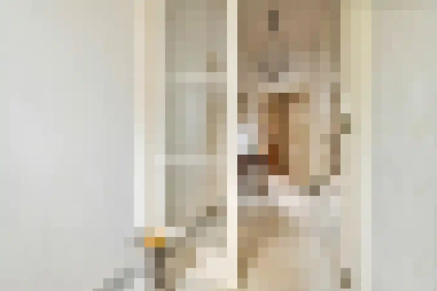 Rodeheldenstraat 24 Buren thumbnail 36