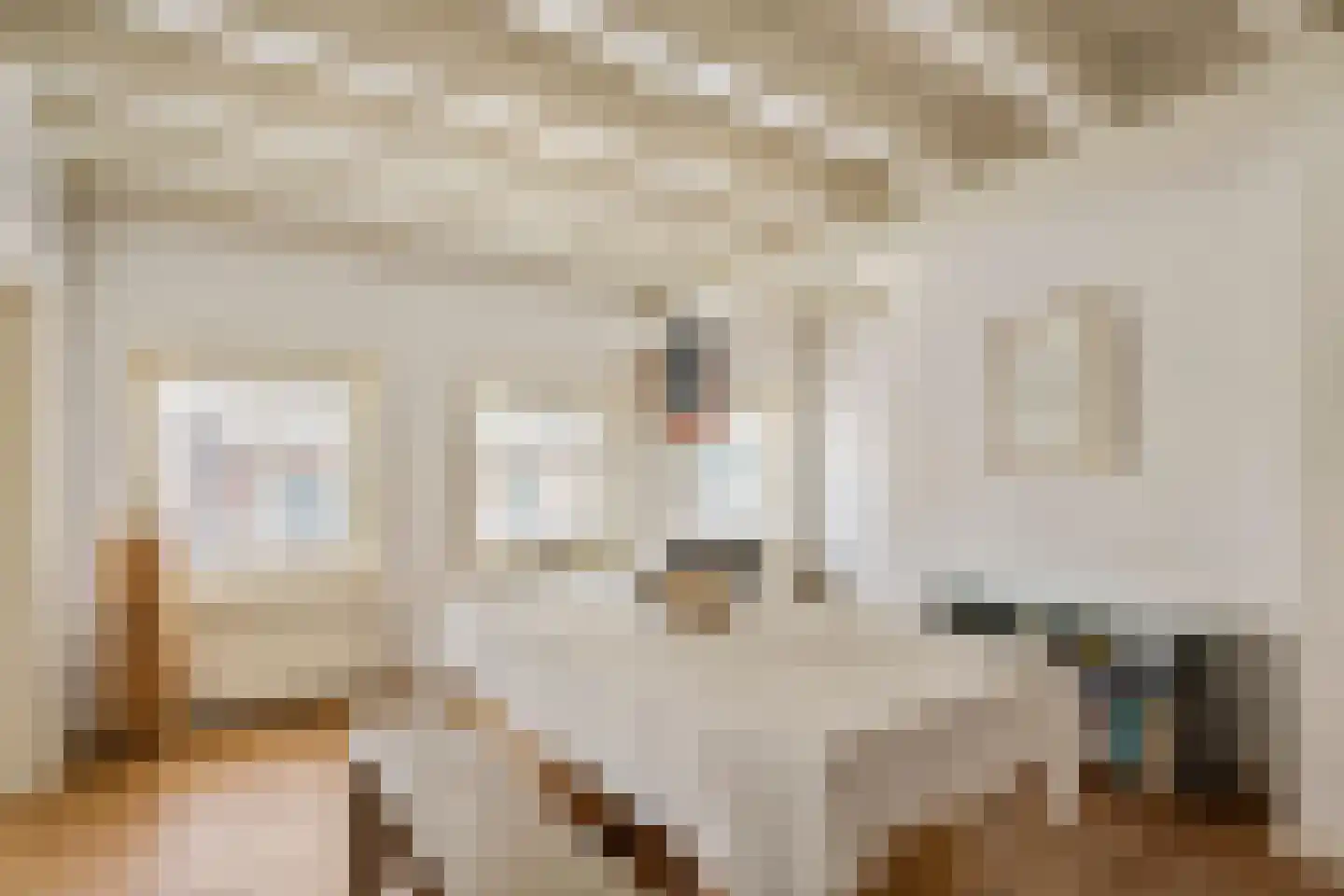 Rodeheldenstraat 24 Buren thumbnail 46