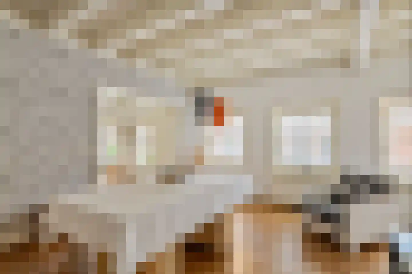 Rodeheldenstraat 24 Buren thumbnail 48
