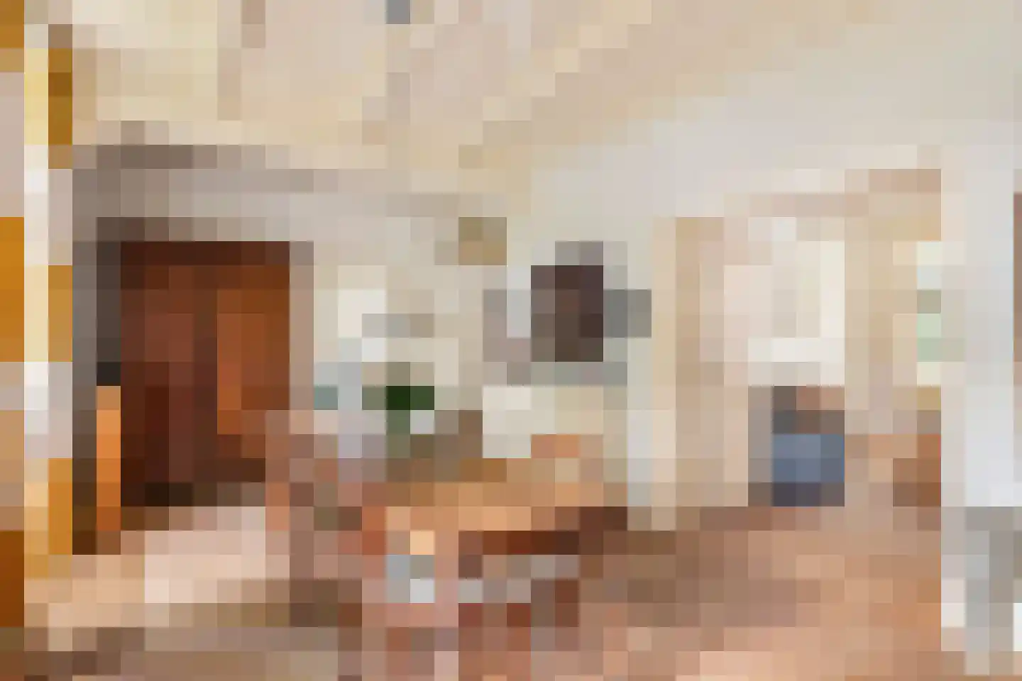 Rodeheldenstraat 24 Buren thumbnail 5