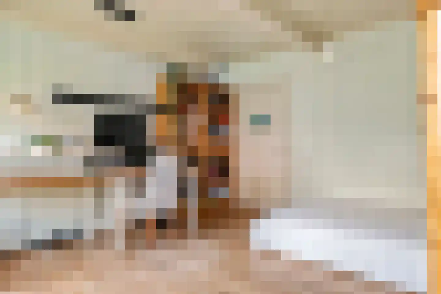 Rodeheldenstraat 24 Buren thumbnail 56