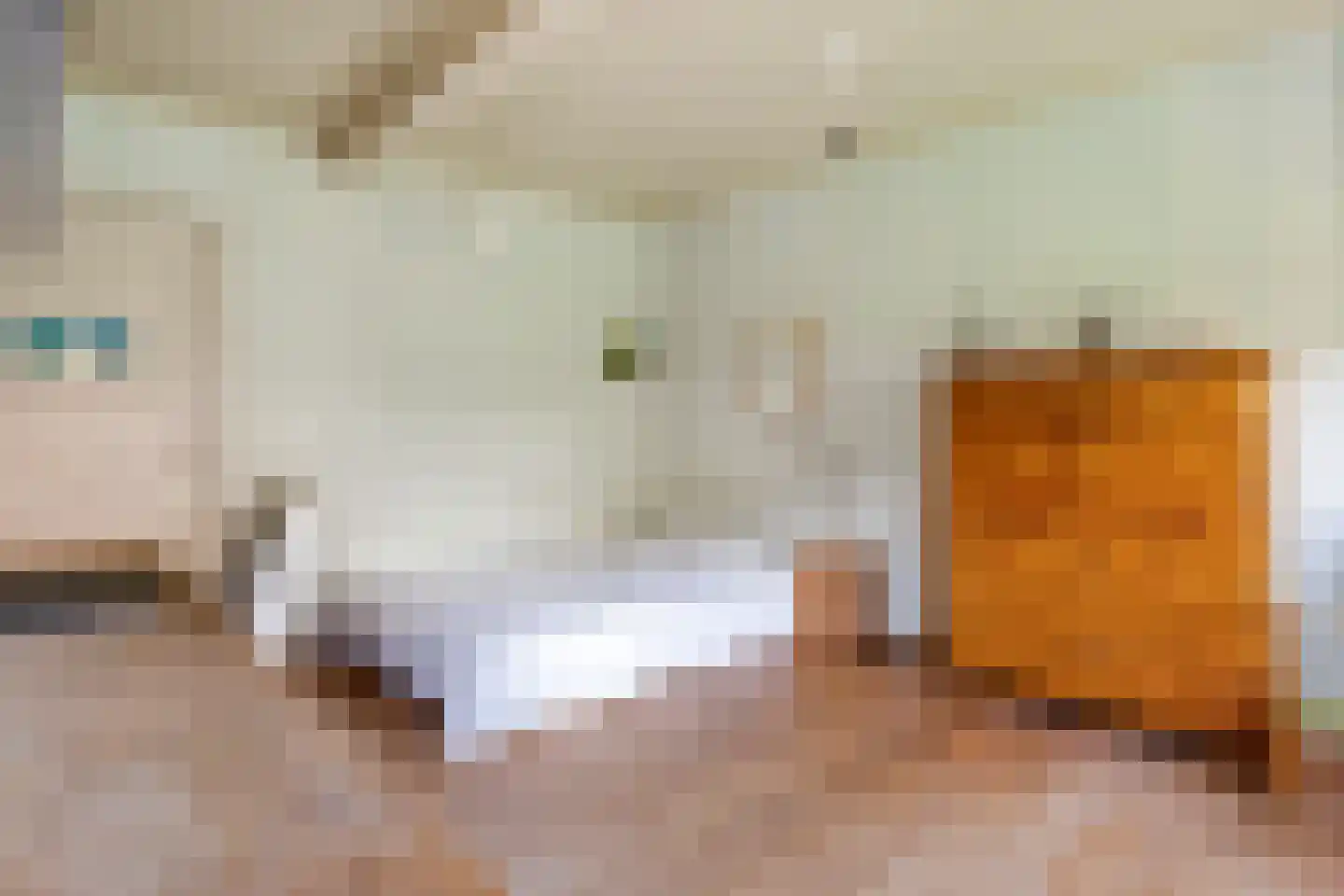 Rodeheldenstraat 24 Buren thumbnail 58