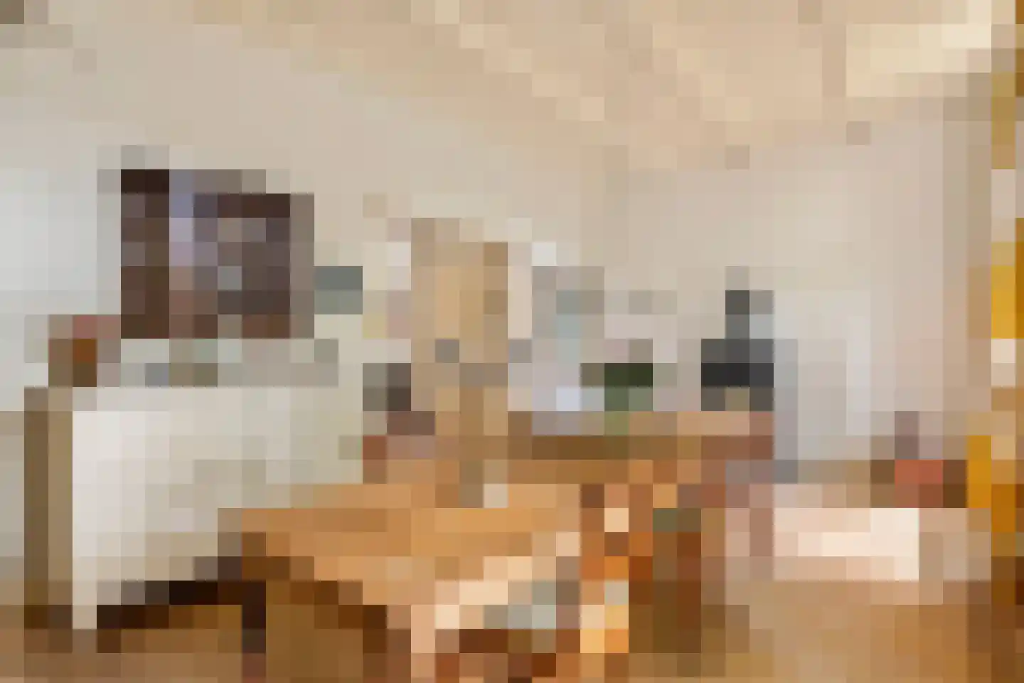 Rodeheldenstraat 24 Buren thumbnail 6