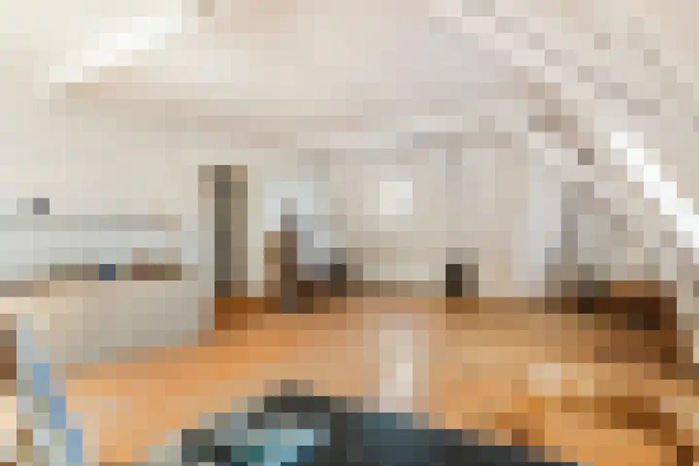 Rodeheldenstraat 24 Buren thumbnail 70