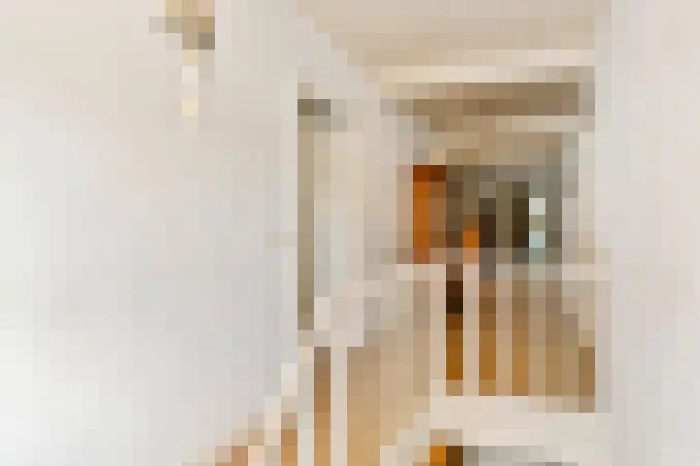 Rodeheldenstraat 24 Buren thumbnail 71