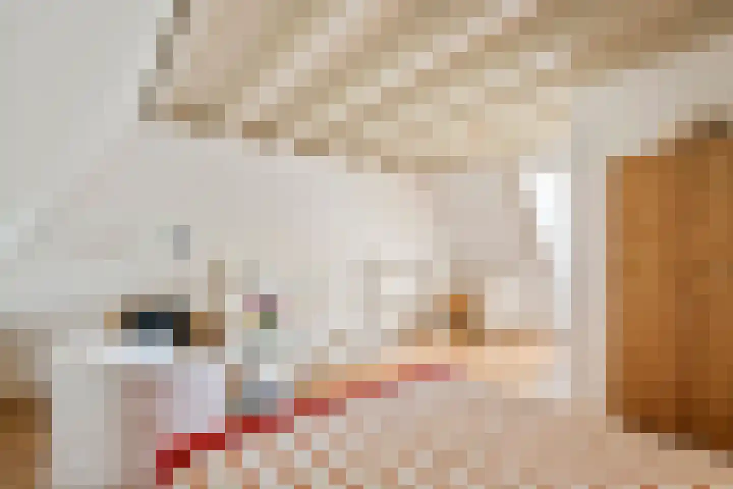 Rodeheldenstraat 24 Buren thumbnail 72