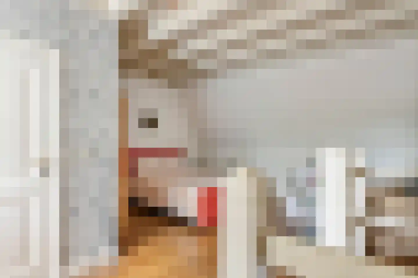 Rodeheldenstraat 24 Buren thumbnail 73