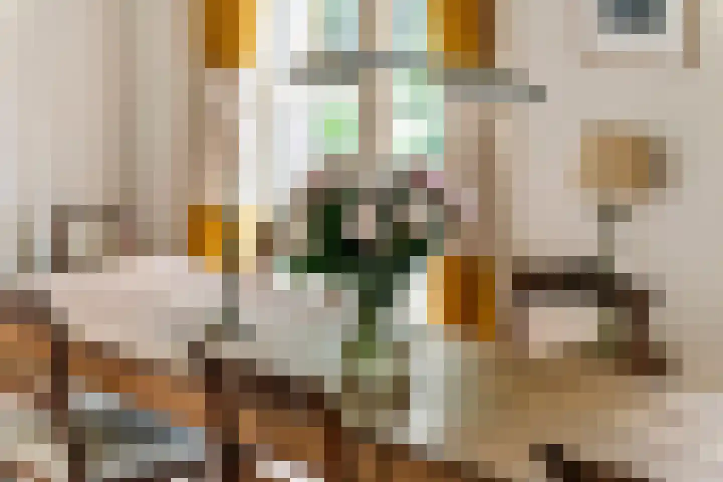 Rodeheldenstraat 24 Buren thumbnail 8