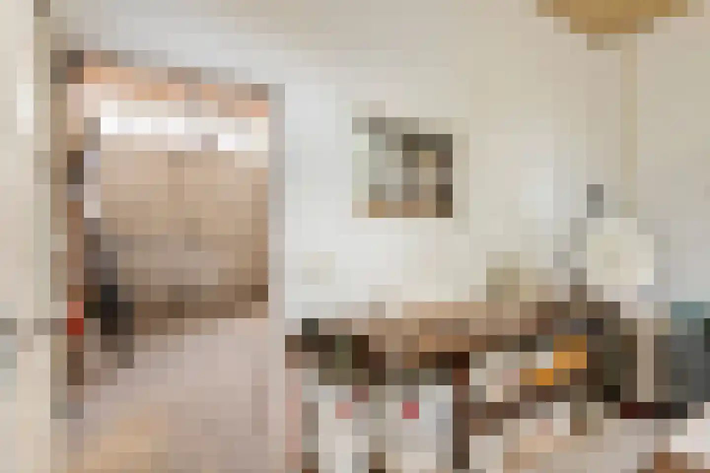 Rodeheldenstraat 24 Buren thumbnail 82