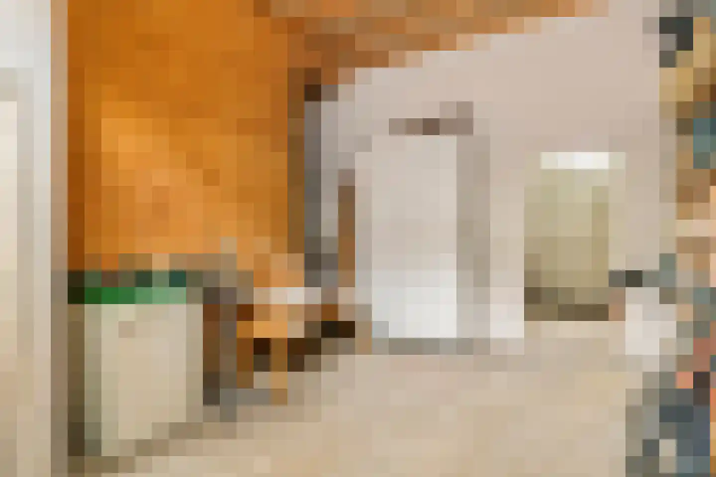Rodeheldenstraat 24 Buren thumbnail 83