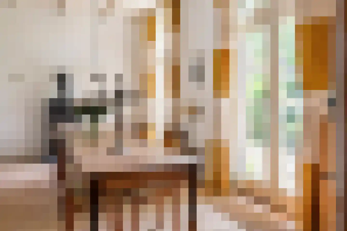 Rodeheldenstraat 24 Buren thumbnail 9