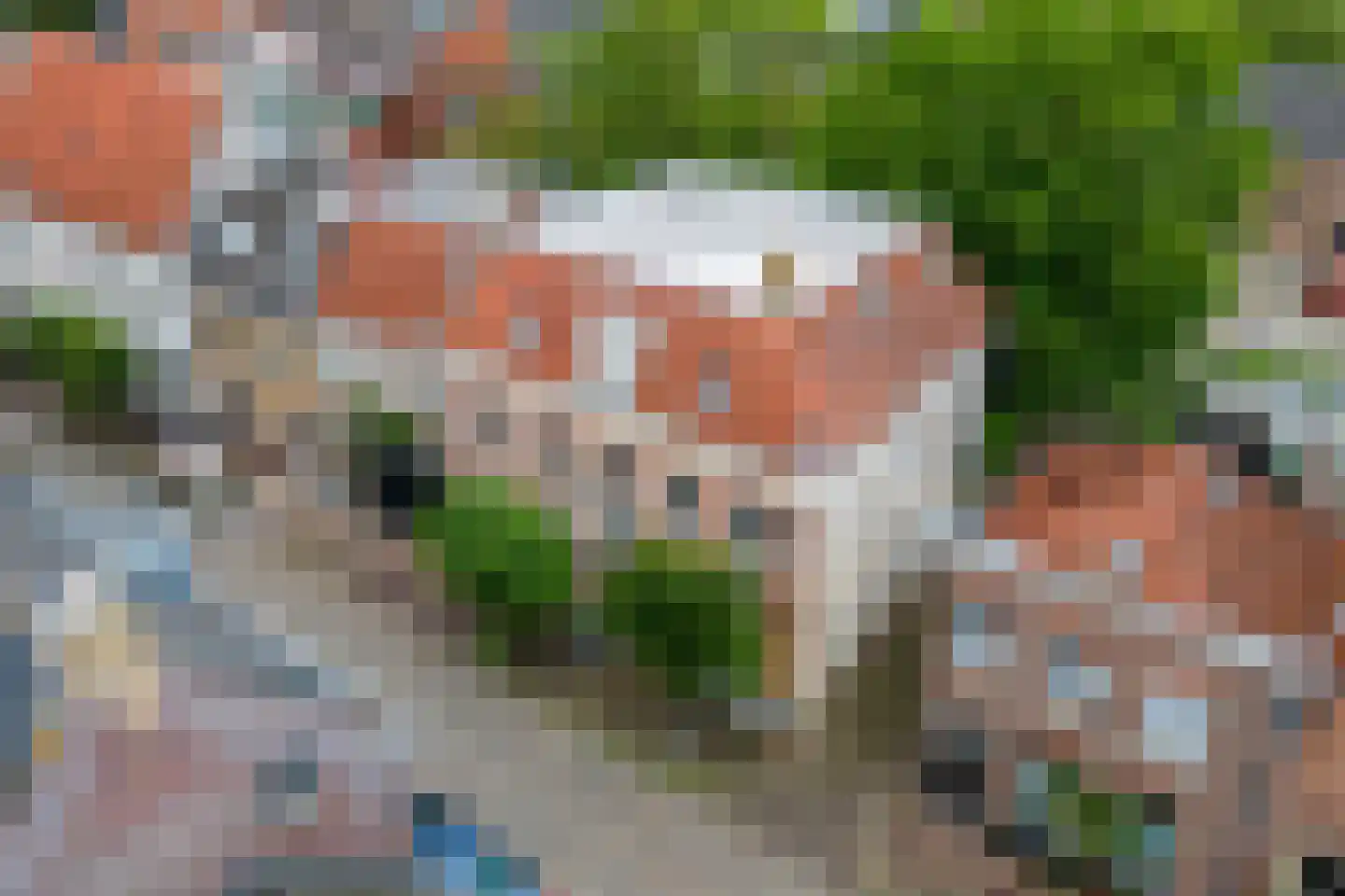 Rodeheldenstraat 24 Buren thumbnail 94