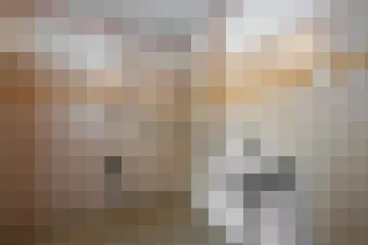 Rodelaan 107 Voorburg thumbnail 12